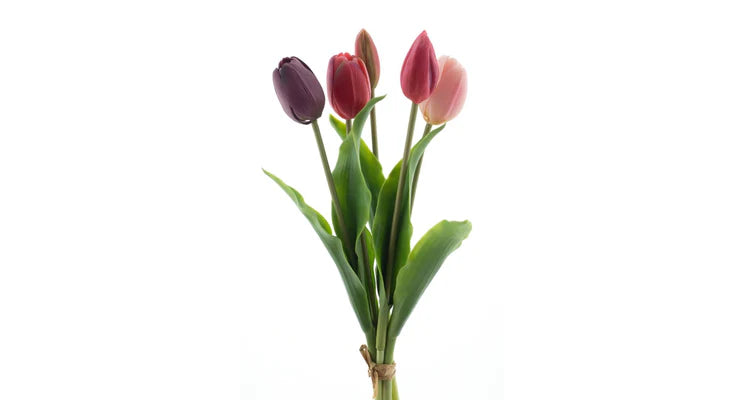 Tulpenboeket paars/beauty mix 5st